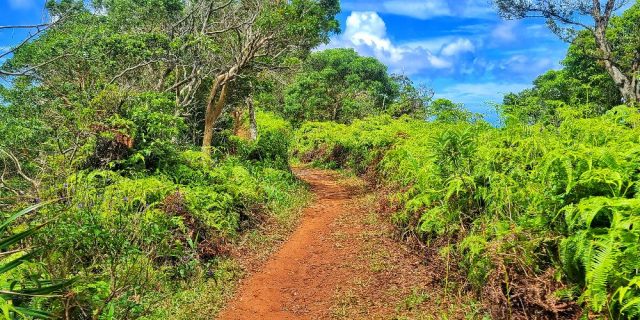 予測可能性が進歩をもたらすーハワイ州法規制最新情報